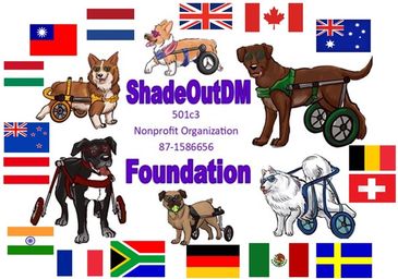 memorialize, raise awareness about DM in dogs - canine als international problem, global, worldwide 