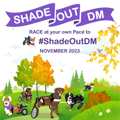 RACE to ShadeOutDM for Degenerative Myelopathy awareness for dogs. Run, walk, ride, roll, virtual 