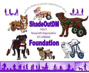 Advocacy friends to raise awareness about Degenerative Myelopathy in dogs dog park vet group breeds