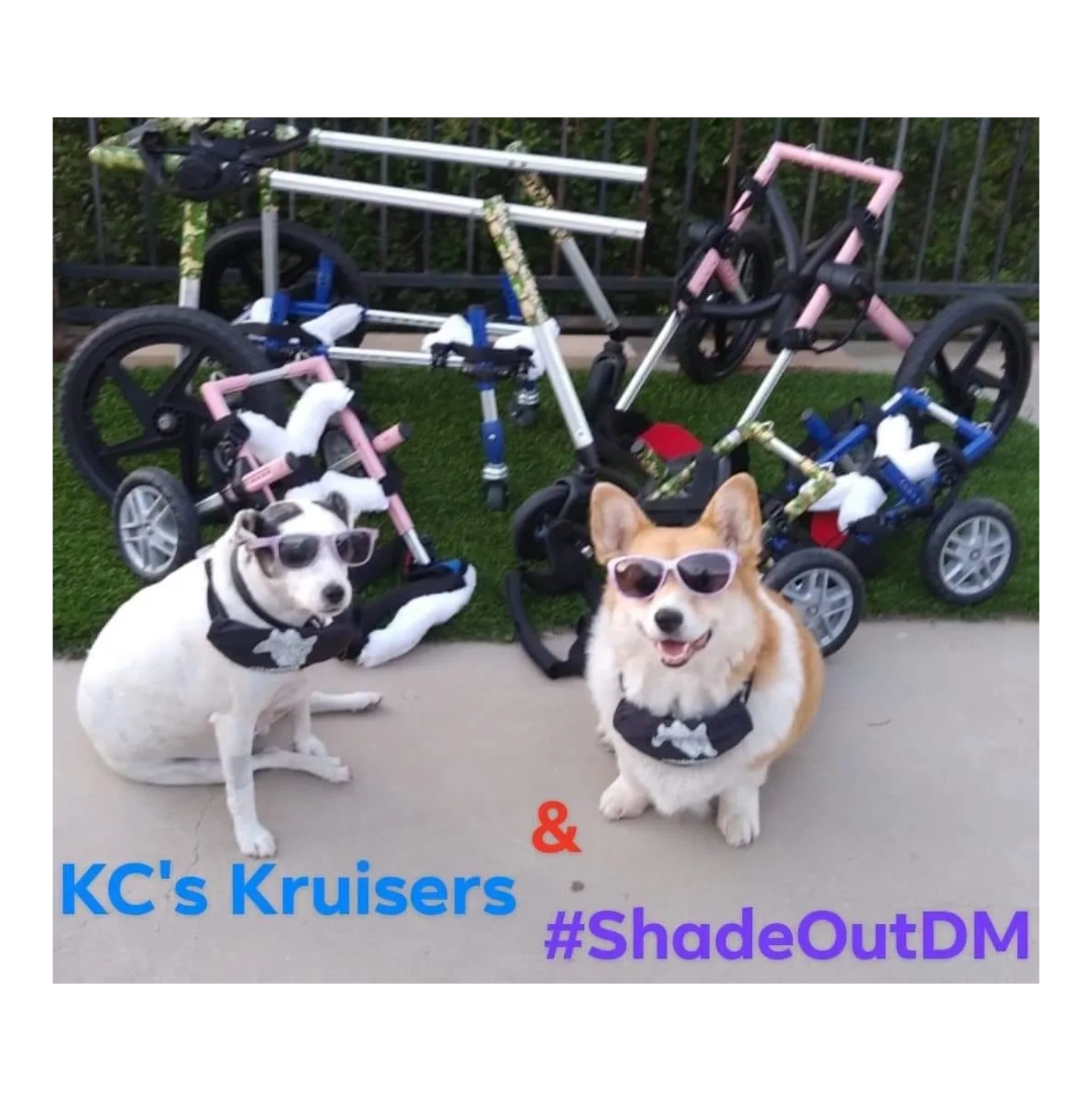 KC's Kruisers loans wheelchairs to handicapped pups of all dog breeds in need. Rear, Front & Quad 
