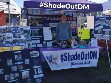 DM Awareness for In-Person events to educate dog lovers, owners, pawrents, caregivers #Preventable 