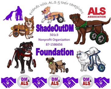 For all PALS (Patients with ALS) or 
CALS (Caregivers of PALS) Teams to speak out about ALS & DM dog