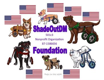 memorialize, raise awareness about DM in dogs - canine als international problem, global, worldwide 