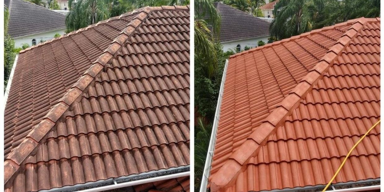 Before and after roof cleaning 