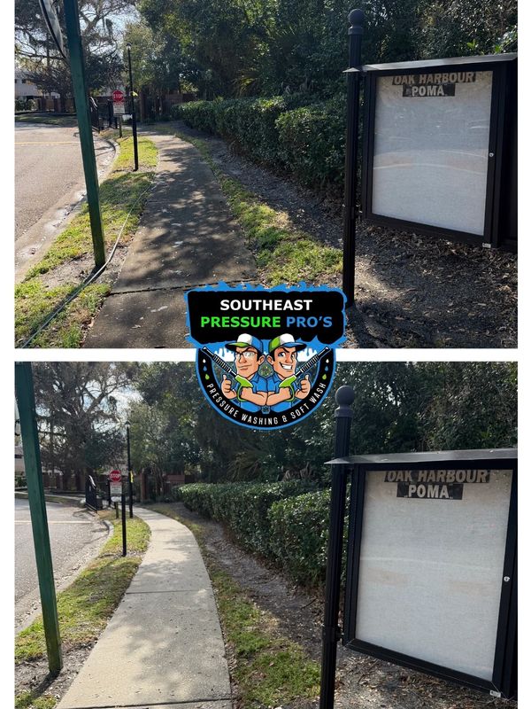 Sidewalk before and after pressure washing by Southeast Pressure Pro's.