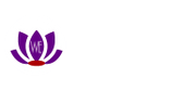 WE Network
