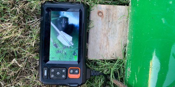 Skunk removal
skunk control
skunk trapping