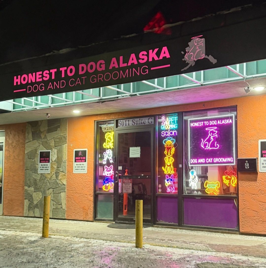 Honest To Dog