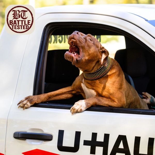 A dog barking out of a U-Haul truck window.