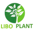 Libo Plants