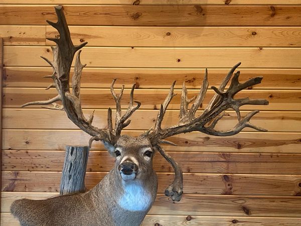 Trophy Whitetail Deer Hunts in Oklahoma