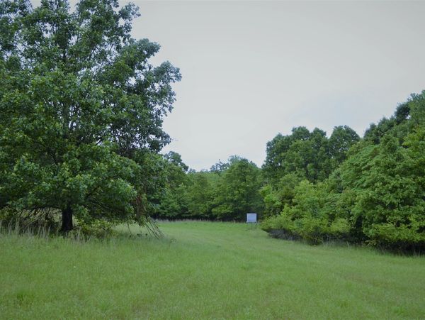 Exotic Hunting in Oklahoma