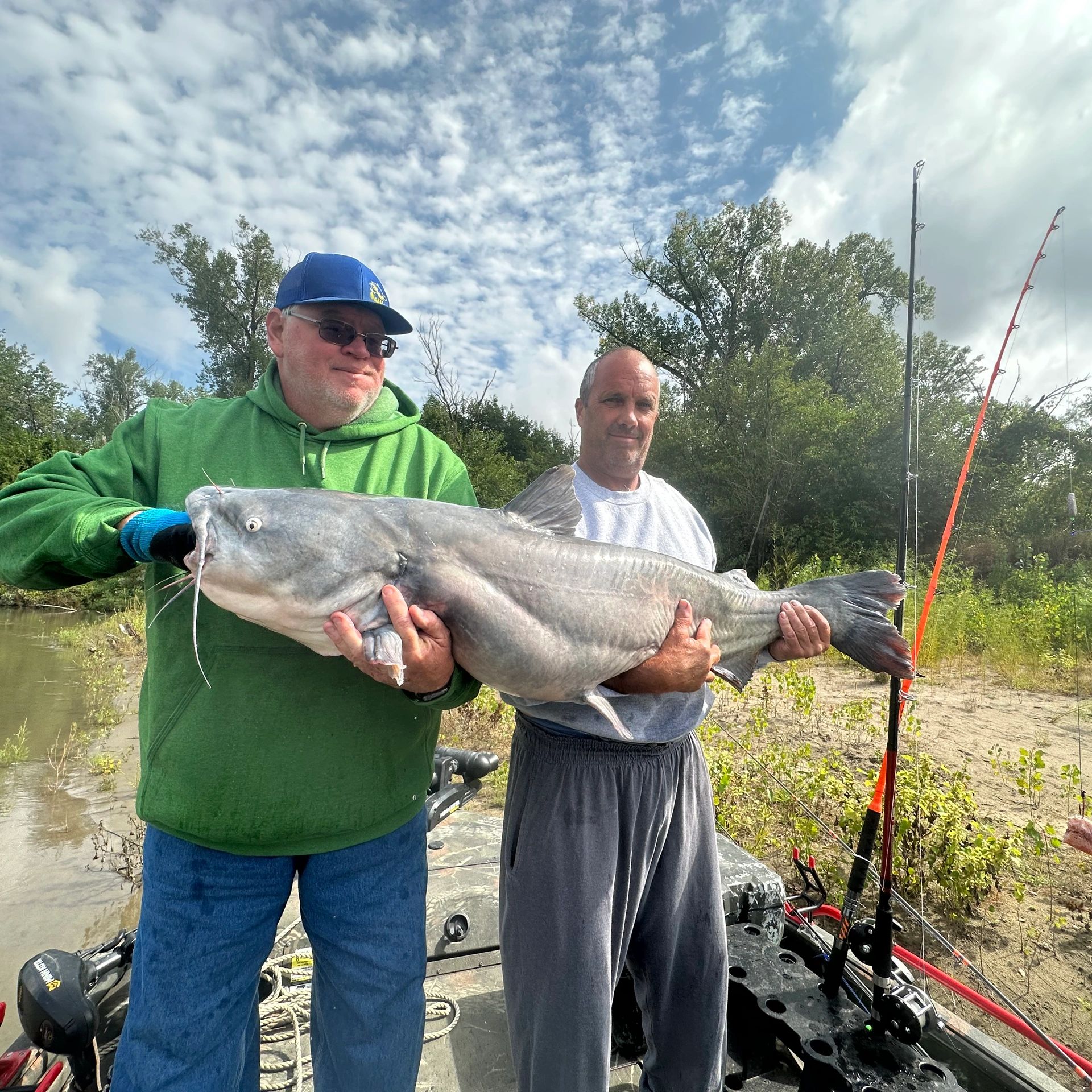 Flathead and blue catfish on the Missouri River bank poles #fyp  #catchandrelease #fishing #fish : r/catfishing