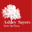 Ashley Sayers Tree Services