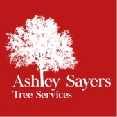 Ashley Sayers Tree Services