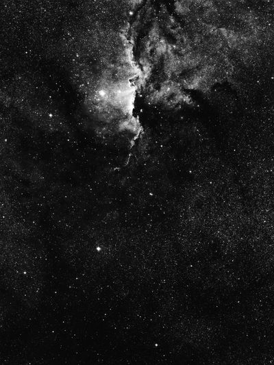 Black and white image of a star-filled galaxy with bright nebulae.