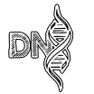 DN8 Studios
