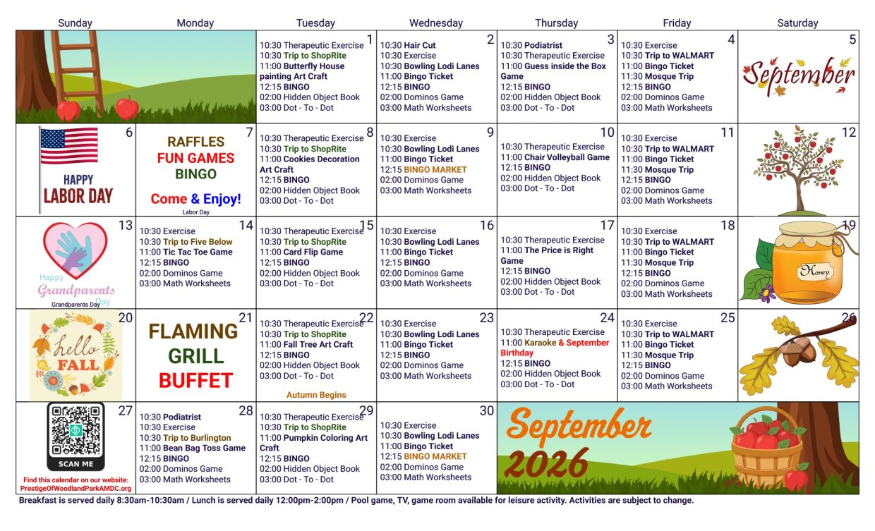 Our Activities