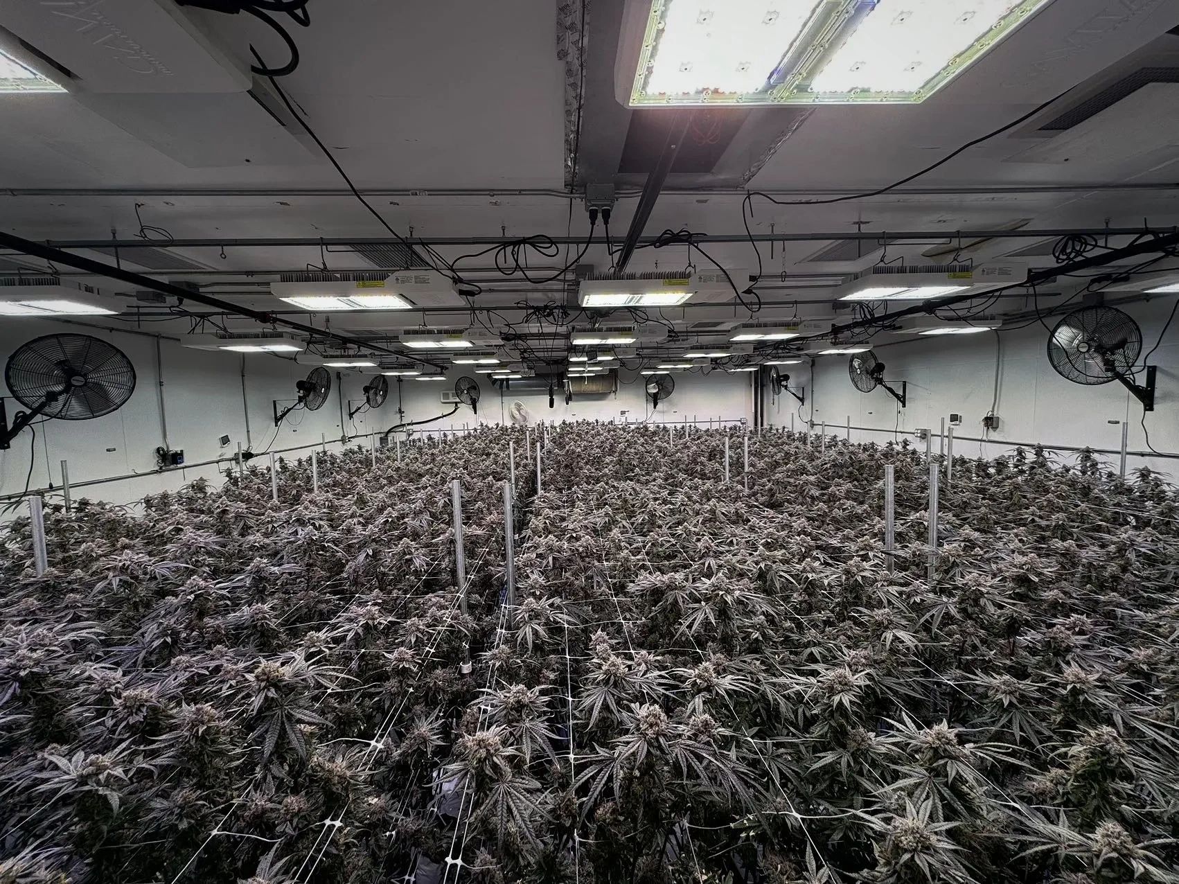 Feed Chart United Nutrients