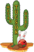 Tucson Metro Bowling Association
