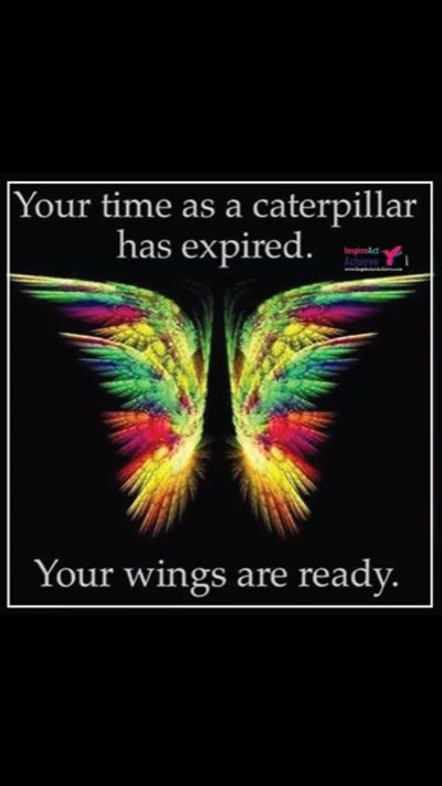 caterpillar, ready, evolve, butterfly, wings, bloom