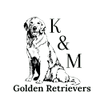 K&M Golden Retrievers
