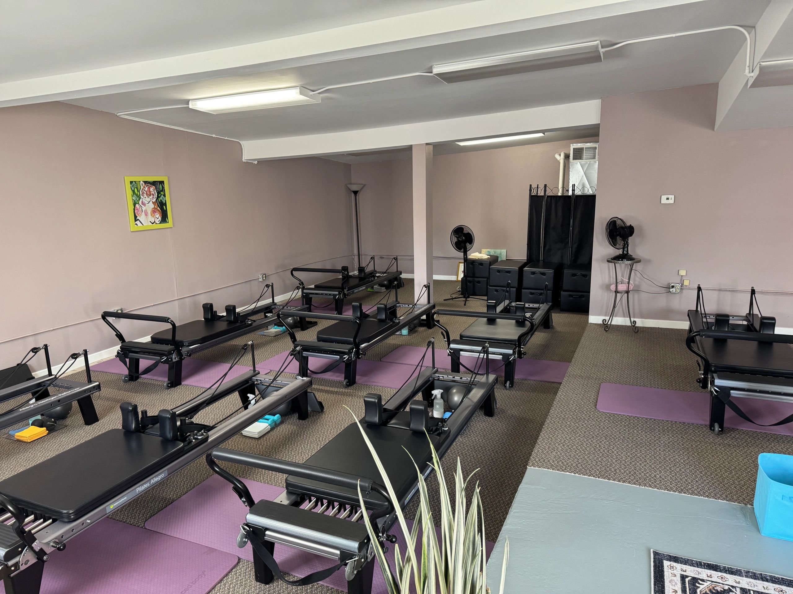 The Studio