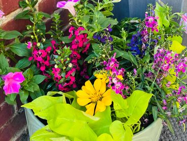 A vibrant mix of colorful flowers and green leaves in a pot near a brick wall.