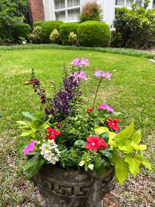Colorful flowers bloom in a decorative garden planter on a lawn.