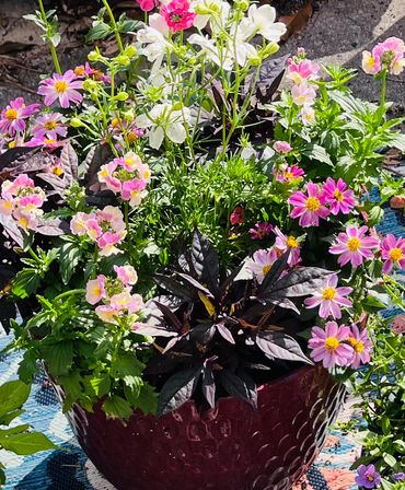 A vibrant flower arrangement in a textured maroon pot.
