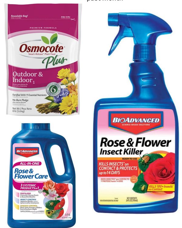 Three gardening products: plant food, rose care, and insect killer sprays.