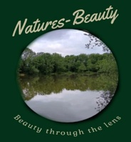 Natures-Beauty