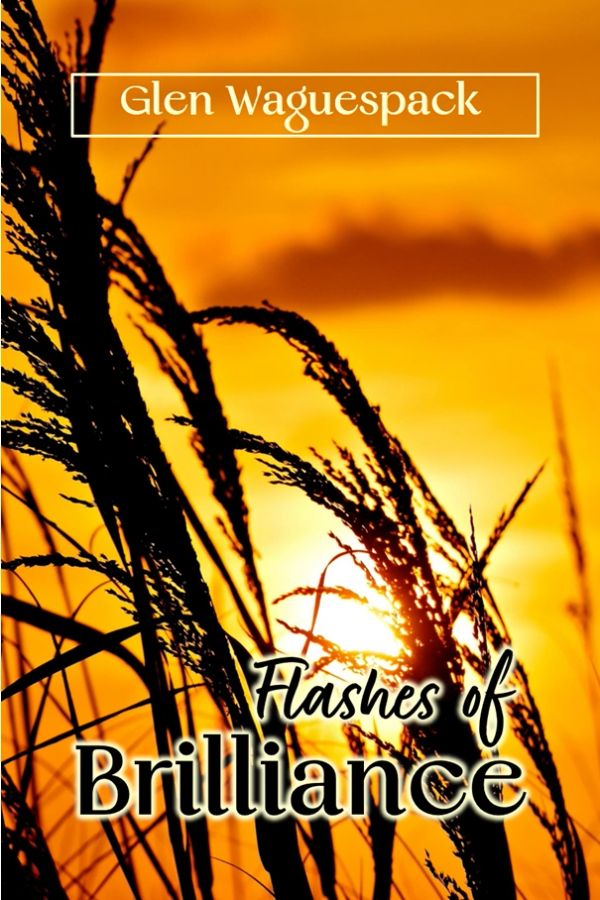 Book cover with sunset and tall grasses titled 'Flashes of Brilliance' by Glen Waguespack.