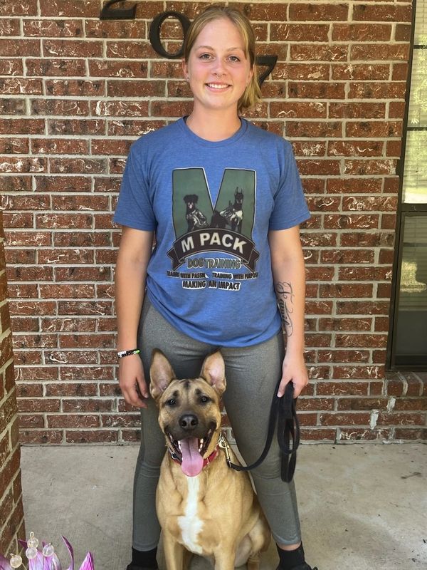 Dog Obedience Training M Pack Dog Training, LLC