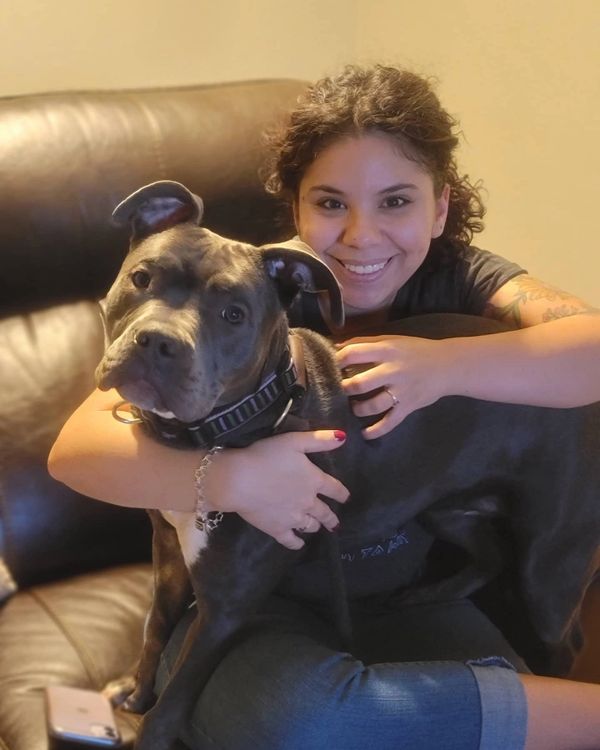 Dog Obedience Training M Pack Dog Training, LLC