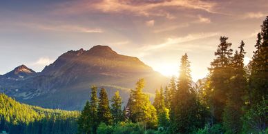 Sunset over a mountain range with pine trees in the foreground.