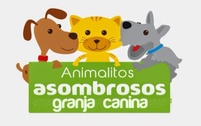 Cachorros Animalitos Asombrosos 