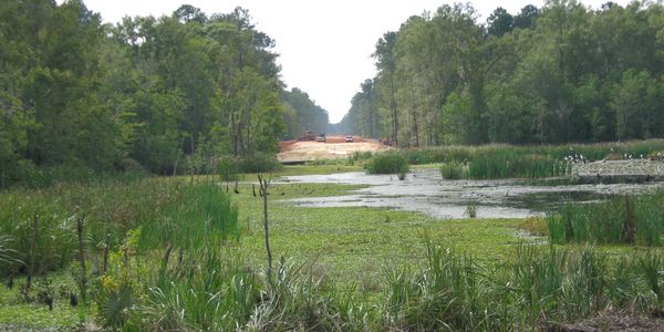 The marsh with a road being built in the background. 