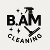      B.A.M
Cleaning Company


