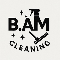      B.A.M
Cleaning Company


