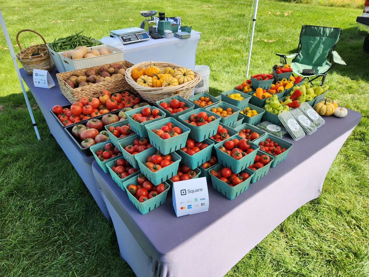 Moody Hollow Farmstead
