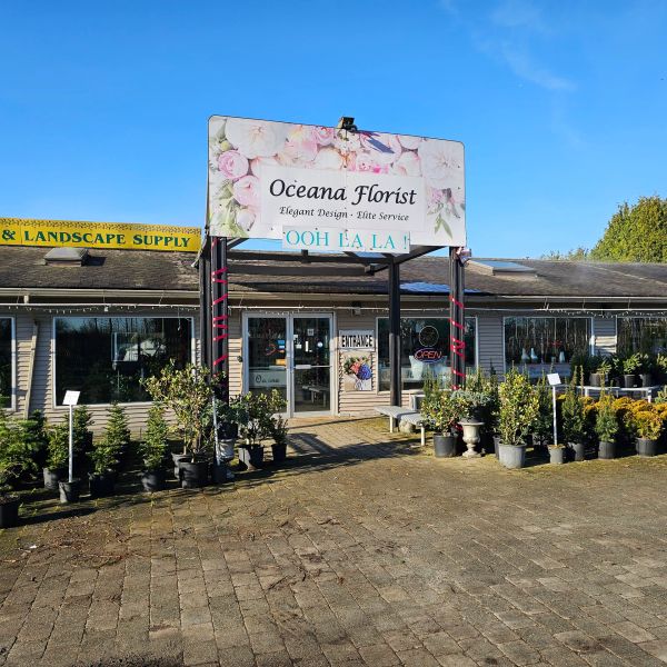 Oceana Florist storefront with plants outside.