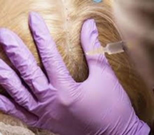 Maseotherapy