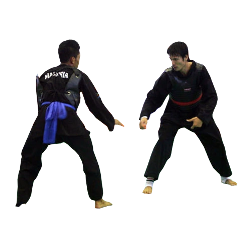 Pencak Silat