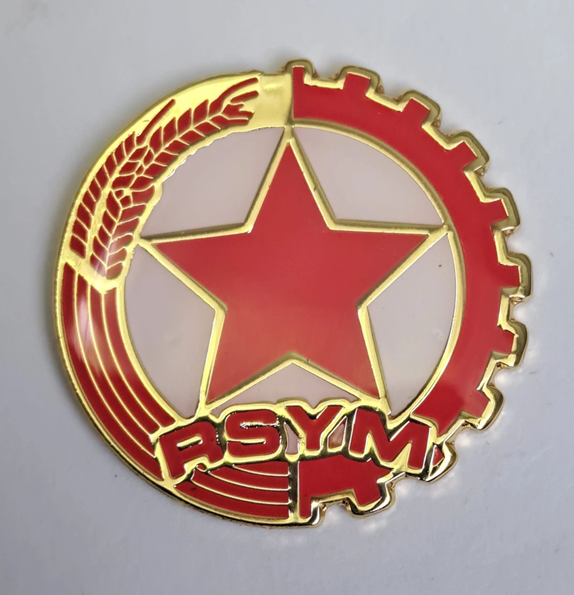 Rsym Flag RSYM Enamel Pin Badge