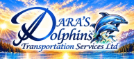 Dara's Dolphins Transportation Services Ltd