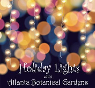 atlanta botanical gardens, holiday lights, christmas lights, photo class, photography workshop, 