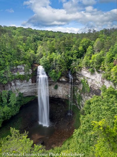 Majestic waterfall cascading into a lush green forest basin under a partly cloudy sky.