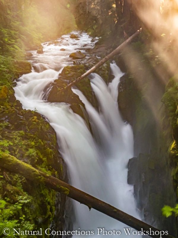 olympic national park, waterfall, washington, seattle, photography workshop, photo class