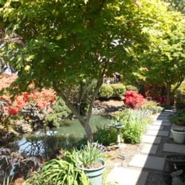 Tender Earth Yard Care-Eugene